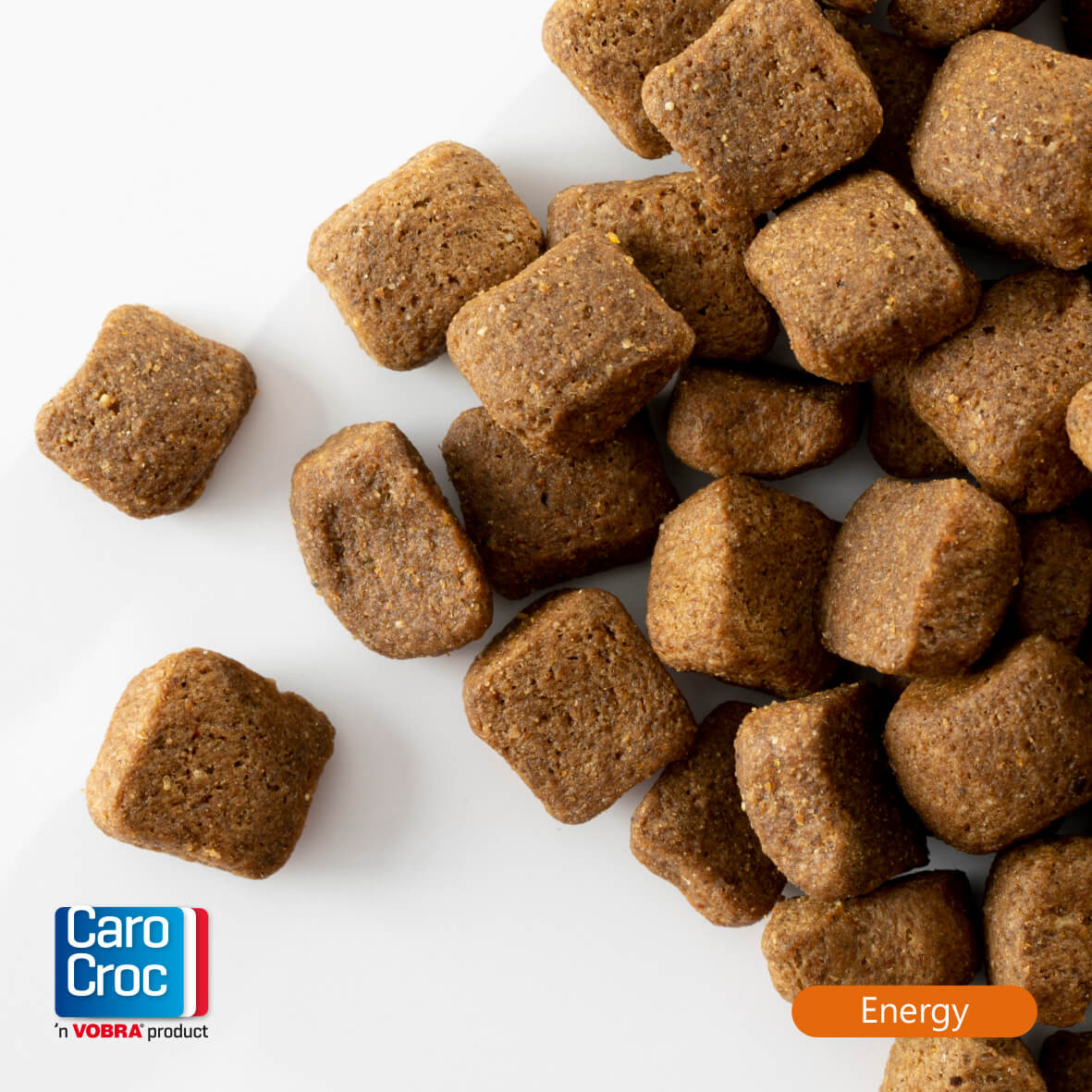 CaroCroc - Radio & TV Spot